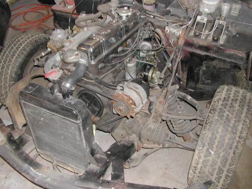 bb_nobonnet1.jpg (41573 bytes)